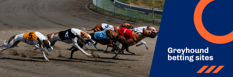 Greyhound betting sites